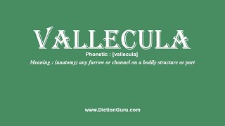 How to Pronounce vallecula with Meaning Phonetic Synonyms and Sentence Examples [upl. by Ainnat]