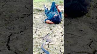 A man sleeping in a field survived a snake bite 😮🙏 [upl. by Mahoney]