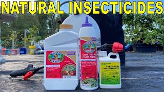 2 Natural Insecticides Every Organic Gardener Should Have [upl. by Attah]