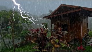 Heavy Rain with Thunder ASMR Ultimate Sleep and Stress Relief  Rain Carnation [upl. by Reg]