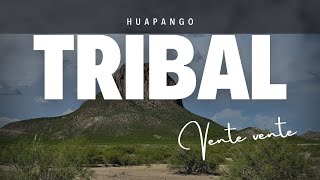 Buena Musica para Bailar TRIBAL 2024  Zacatecas  Durango [upl. by Trish12]