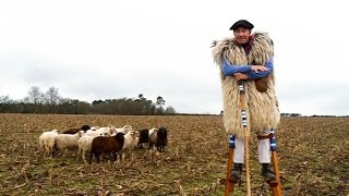 Patrimoine  des échasses aux forêts de pins 300 ans dhistoire des Landes [upl. by Niaz]