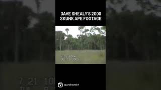 A Skunk Ape [upl. by Thirza]