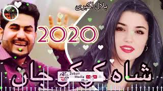 Bilal Akbari  Alla Shakoko Jan New Song 2021 بلال اکبری شاکوکو جان Bilal akbari mast bibihaji [upl. by Reni]