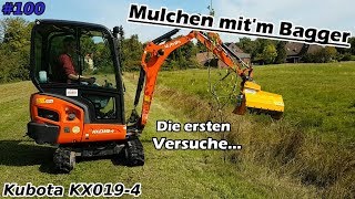 Querbeet  Mulchen mitm Bagger  Die ersten Versuche  Kubota KX0194  Ghedini Mulcher  Mr Moto [upl. by Amoritta760]