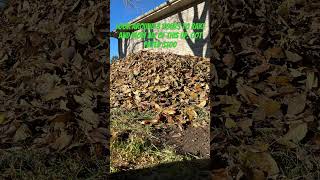 Mowing and Raking Hella Leaves automobile minecraft [upl. by Laiceps]