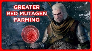 The Witcher 3  Greater Red Mutagen Farming [upl. by Greff]