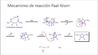 Síntesis de furano EXPLICADO PaalKnorr [upl. by Amos20]