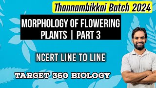 Morphology of Flowering Plants  Part 3  TB 2024 [upl. by Koloski]