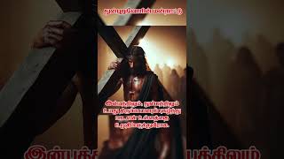 துன்புறுவோரின் மன்றாட்டு  கத்தோலிக்க ஜெபங்கள்  Part 2 avemaria tamilcatholic catholicprayers [upl. by Ecnarret]