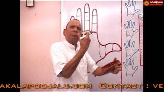 PALMISTRY PART 187 IN HINDI [upl. by Andrus]