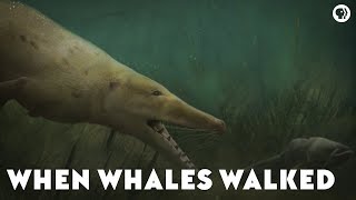 When Whales Walked [upl. by Zennas]