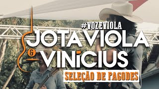 Jota Viola amp Vinicius  Seleção de Pagodes vozeviola [upl. by Odessa623]