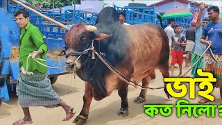 Bhai Koto Nilo Gabtoli Gorur Haat 2023Part 43 Qurbani Cow Price in Bangladesh Gabtoli Cow Market [upl. by Thin]