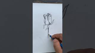 Easy Rose 🌹Drawing for kids rose shorts art ytshorts youtubeshorts kidsdrawing drawing [upl. by Adlitam]