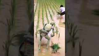 🤖 Robotic Man with Agricultureshortsyoutube ytshots robot [upl. by Mur108]