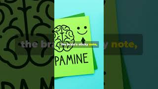 6 Facts About Dopamine shorts [upl. by Aihsyt]