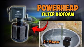 Cara Pasang Filter Aquarium ll POWERHEAD amp BIOFOAM [upl. by Anjali]