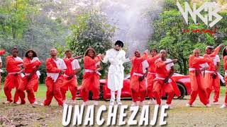 Diamond Platnumz  Unachezaje Official Video [upl. by Stolzer861]