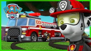 Oltre 1 ora di episodi Ultimate Rescue e altro ancora  PAW Patrol I cuccioli Episodi Italiano [upl. by Hanae]