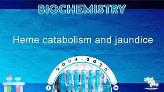 L2 Heme catabolism red blood cell destruction Biochemistry [upl. by Doralynn220]