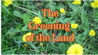 The Greening of the Land [upl. by Verney765]