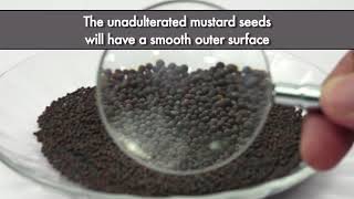 Detecting Argemone Seeds Adulteration in Mustard Seeds [upl. by Sulakcin]