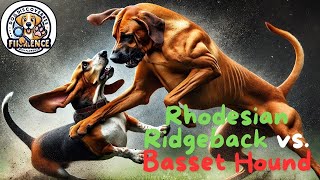 Rhodesian Ridgeback vs Basset Hound Strength Strategy and Stamina in an Epic Showdown [upl. by Delaryd]