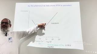 Parathyroid Physiology amp Regulation of Calcium Metabolism By Prof Dr M Yosof [upl. by Giorgia395]