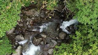 Kris Kremers and Lisanne Froon  Drone footage of Rio Mamei  Part 2 Upstream [upl. by Eramat]