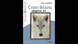 Chapitre 12  Croc Blanc de Jack London  version abrégée [upl. by Zilla]