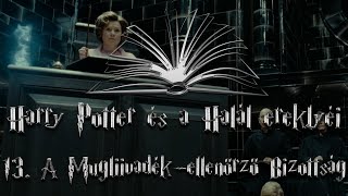 Harry Potter és a Halál ereklyéi hangoskönyv  13 fejezet [upl. by Airaet]