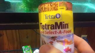 Tetra TetraMin 3 in 1 Select a Food Product Review [upl. by Akerue]