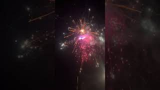 Rapture 228 shots 1er Finale firework cake fireworks finale4thofjuly bigbreaksexclusive [upl. by Damas]