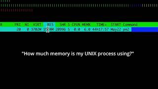 How to view memory usage of a single process in UNIX systems [upl. by Ailaza128]