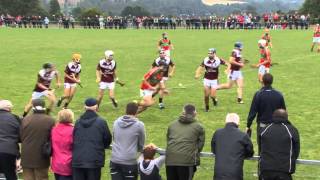 Wexford GAA TV I U21 Wexford Premier Hurling final from 2014 [upl. by August]