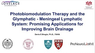 Lymphatic Brain System Augmentation of the Brain Glymphatic Drainage with Photobiomodulation [upl. by Sudhir]