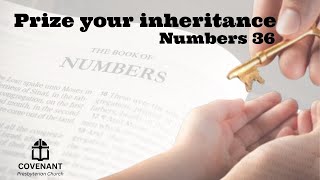 Prizing your inheritance  Numbers 36 [upl. by Hsetim273]