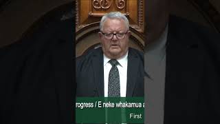 Haka interrupts vote for the Treaty Principles Bill  RNZ [upl. by Elehcar343]