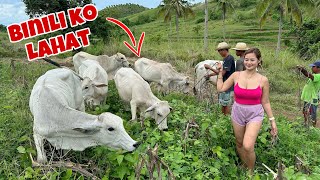 Bumili ako nang 6 na baka para sa Bagong Area na Farm Cow Farming 🐄 [upl. by Sivam]