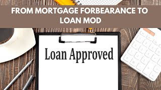 Mortgage Forbearance to Loan Modification [upl. by Ardnasil]