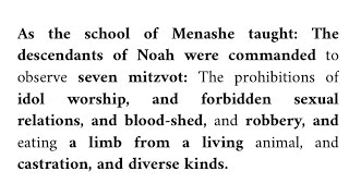 Noahide Laws where did they come from [upl. by Chiquia882]