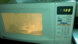 Microwave popcorn popping [upl. by Alig]