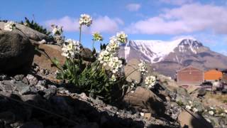 Longyearbyen [upl. by Elocal930]