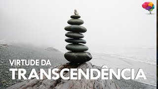 As 6 Virtudes das Forças de Caráter  Transcendência [upl. by Dosh]