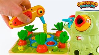 Best Toy Learning Video for Toddlers and Kids  Learn Colors and Counting in the Garden [upl. by Siramaj]