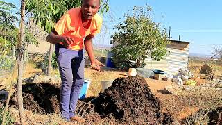 HOW WE TURNEDFLIPPED OUR 18 DAYS FAST COMPOST FOR AERATION🇿🇦 [upl. by Berl]