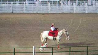 DalmatianAppaloosa Demonstration at Horse Extravaganza [upl. by Waylin]