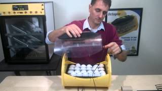 Brinsea Octagon Eco 20 amp 40 Egg Incubator Clip 4 Setting amp Turning the eggs [upl. by Caffrey]