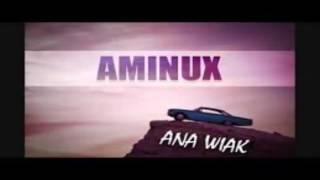 AMINUXANA WIYAKINSTRUMENTAL [upl. by Balbinder158]